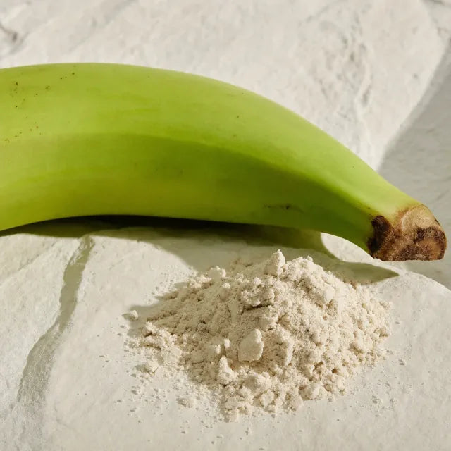 Banane verte - Musa (banane verte, poudre)