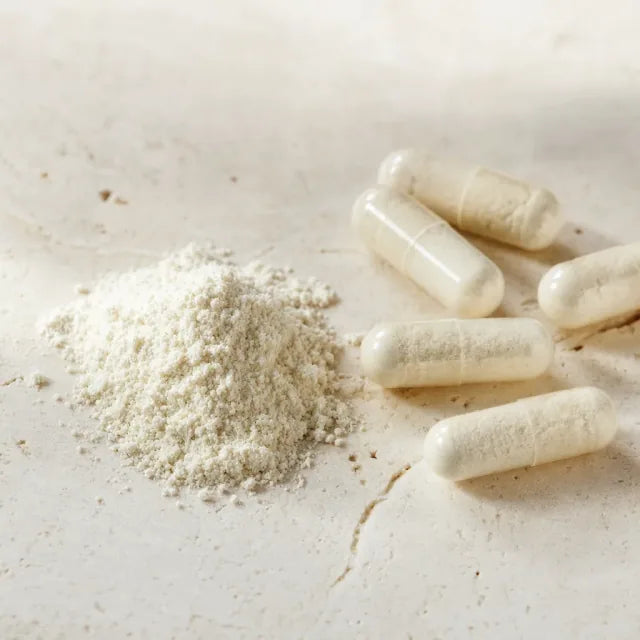 Bifidobacterium breve - Bifidobacterium breve