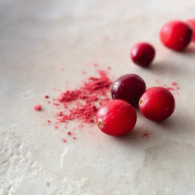 Cranberry (canneberge) - Vaccinium macrocarpon