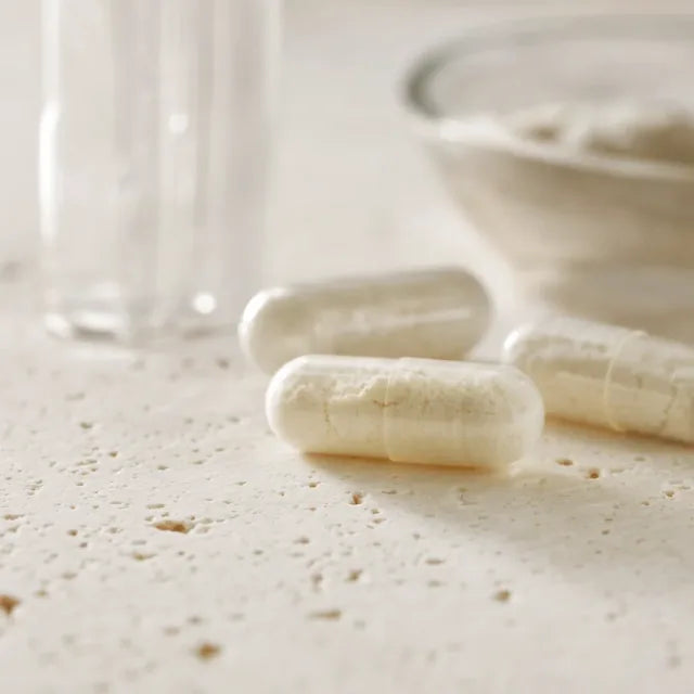 Lactobacillus gasseri BNR17 - Lactobacillus gasseri BNR17 (souche déposée)