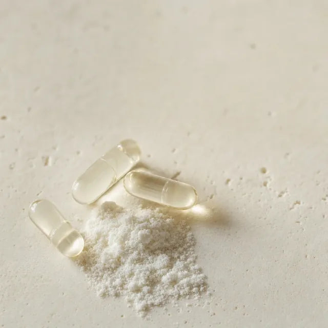 Lactobacillus reuteri DSM 17938 - Lactobacillus reuteri DSM 17938 (souche déposée)