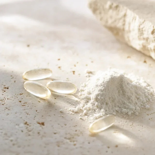 NAD+ - NAD+ (nicotinamide adénine dinucléotide, forme oxydée)