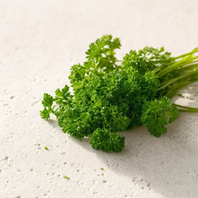 Persil - Petroselinum crispum