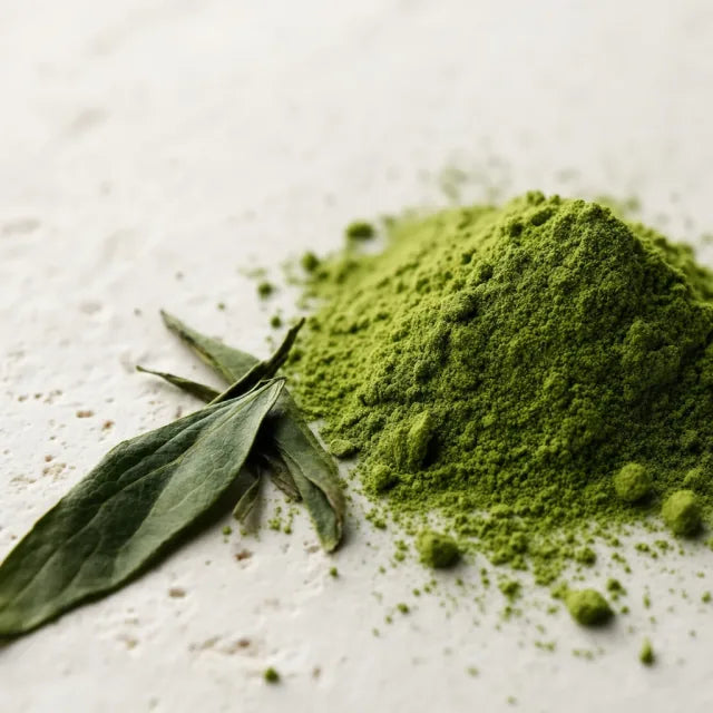 Thé vert - Camellia sinensis (extrait, EGCG)