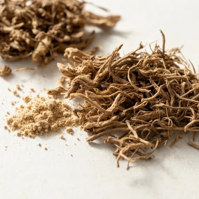 Valériane - Valeriana officinalis